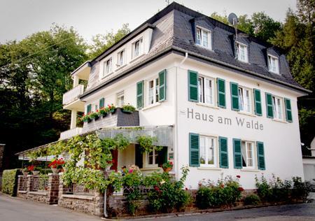 Pension Haus am Walde Brodenbach, Mosel Exterior foto