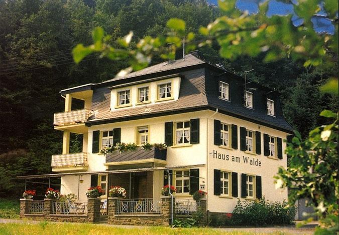 Pension Haus am Walde Brodenbach, Mosel Exterior foto